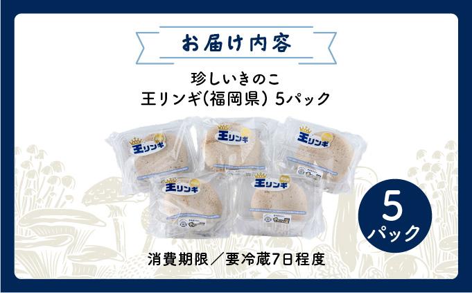 珍しいきのこ 王リンギ5パック  AT18