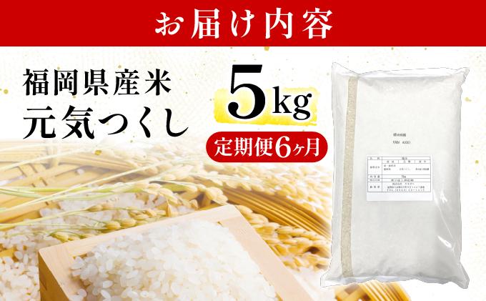 【6ヶ月定期便】福岡県産米 元気つくし 5kg 精米 令和7年産 ※北海道・沖縄・離島は配送不可【精米 7年産 国産 福岡県産 お米 ブランド米 5kg げんきつくし】CY011sub6 【6ヶ月定期便】5kg（5kg×1袋）