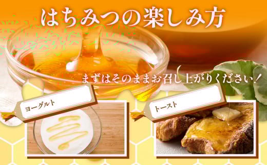 国産蜂蜜ギフト 1,000g　白ラベル　CD01