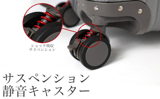 [PROEVO] アルミスーツケース フレームキャリー 受託手荷物対応 L（カーボン/ガンメタリック） [30003]　AY156 カーボン/ガンメタリック