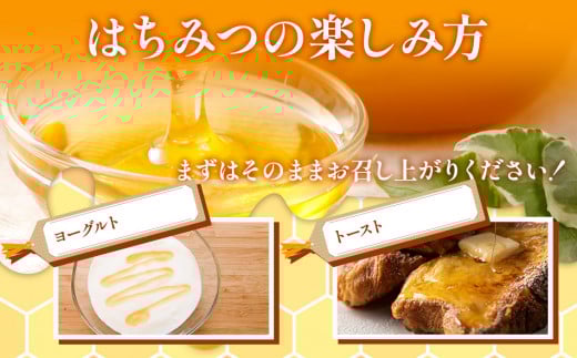 国産蜂蜜ギフト 1,000g　黒ラベル　CD12