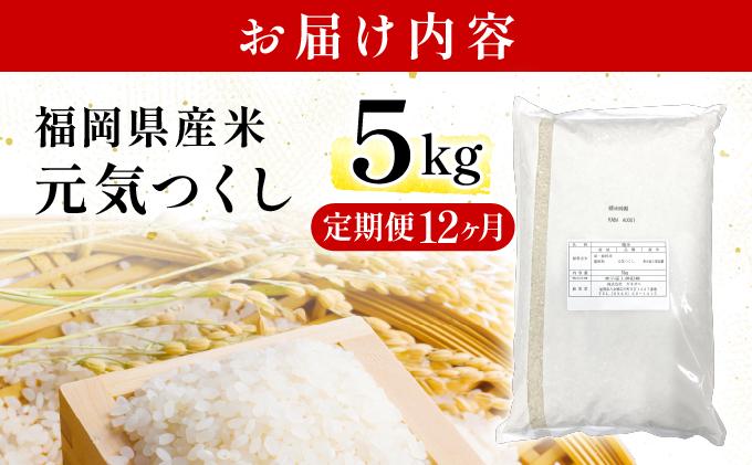【12ヶ月定期便】福岡県産米 元気つくし 5kg 精米 令和7年産 ※北海道・沖縄・離島は配送不可【精米 7年産 国産 福岡県産 お米 ブランド米 5kg げんきつくし】CY011sub12 【12ヶ月定期便】5kg（5kg×1袋）