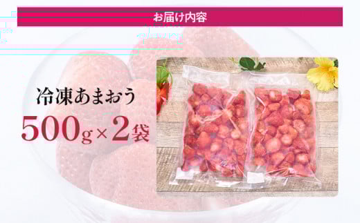 福岡産 冷凍あまおう 1kg(500g×2袋) あまおう イチゴ いちご スイーツ 果物 フルーツ 送料無料 冷凍フルーツ ジャム 苺 ケーキ スムージー いちご飴 かき氷 フルーツ大福 クリスマス 大木町産 南国フルーツ CO026 1kg(500g×2袋)