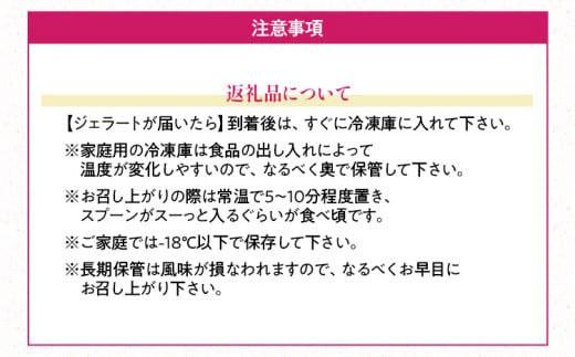 福岡産 あまおうジェラート 100ml×6個 あまおう イチゴ いちご ジェラート スイーツ 果物 フルーツ アイス プレゼント 御見舞 お取り寄せ ストロベリー 南国フルーツ株式会社 CO029