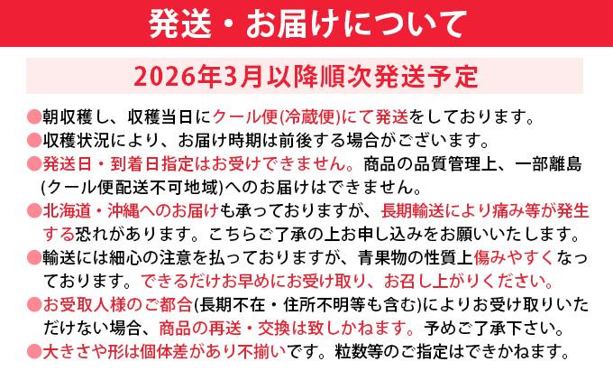 【先行予約/2026年】福岡県産あまおう 約270ｇ×4パック《2026年3~4月発送》 CL002