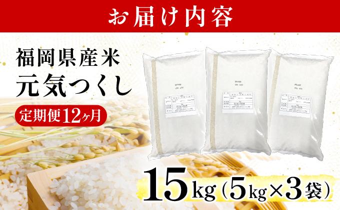 【12ヶ月定期便】福岡県産米 元気つくし 15kg 令和7年産 ※北海道・沖縄・離島は配送不可【精米 7年産 国産 福岡県産 お米 ブランド米 15kg げんきつくし】CY013sub12 【12ヶ月定期便】15kg（5kg×3袋）