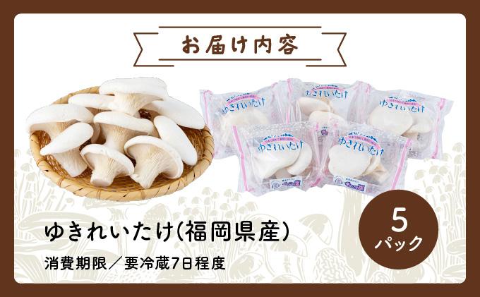 珍しいきのこ ゆきれいたけ AT19