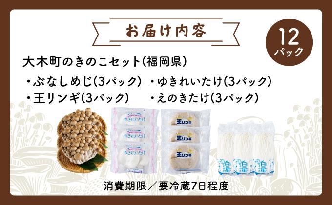 大木町のきのこセット(ぶなしめじ・ゆきれいたけ・王リンギ・えのきたけ各3パック) 各3パック