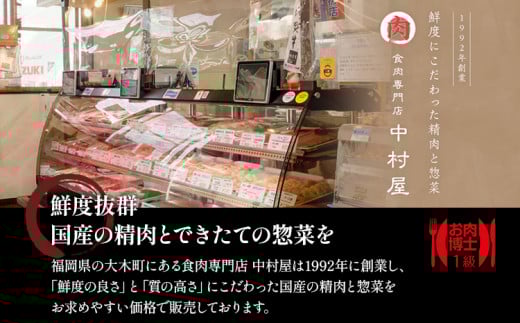 中村屋特製 手づくりハンバーグ/国産黒毛和牛もつ鍋セット＋手作りつみれ付き AM004