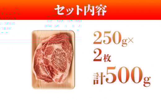 博多和牛サーロインステーキ 500g 黒毛和牛 お取り寄せグルメ お取り寄せ お土産 九州 福岡土産 取り寄せ グルメ MEAT PLUS CP012 500g（250g×2枚）