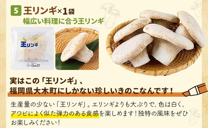 大木町きのこ食べつくしセット AZ03