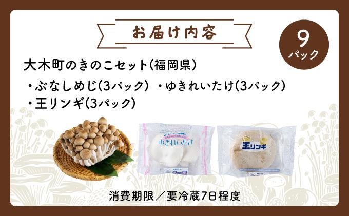 食欲の秋！きのこの詰め合わせ(ぶなしめじ・ゆきれいたけ・王リンギ各3パック)AT16 3パック