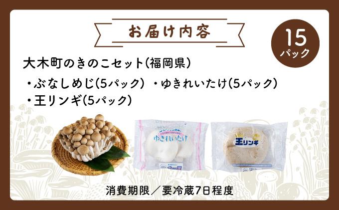 食欲の秋！きのこの詰め合わせ(ぶなしめじ・ゆきれいたけ・王リンギ各5パック)AT17 5パック