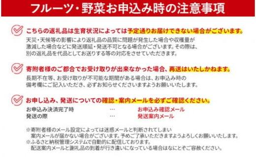 数量限定 ホワイトアスパラガス 3L 700g 朝採り 朝採れ 直送 ホワイトアスパラガス アスパラ【2月～4月お届け】 BT01w ホワイト【2月〜4月お届け】