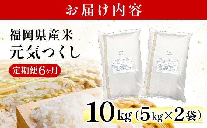 【6ヶ月定期便】福岡県産米 元気つくし 10kg 令和7年産 ※北海道・沖縄・離島は配送不可【精米 7年産 国産 福岡県産 お米 ブランド米 10kg げんきつくし】CY012sub6 【6ヶ月定期便】10kg（5kg×2袋）