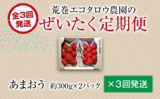 荒巻エコタロウ農園のぜいたく定期便※2026年1月～2月末にかけて3回出荷　BJ08