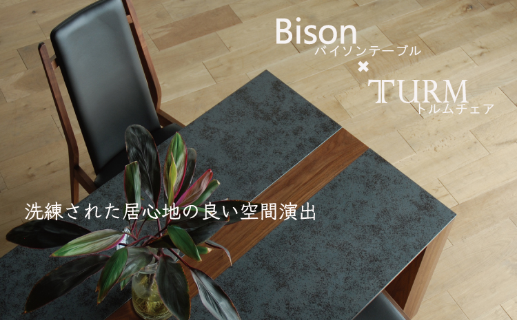 ダイニングテーブルセット バイソン テーブル180cm CIG/ブラ