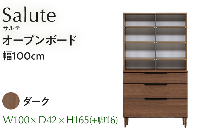 オープンボード Salute サルテ 幅100cm DK ダーク ブラウン 家具