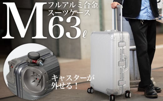 ※上記写真【シルバーカーボン】の色味の返礼品が届きます