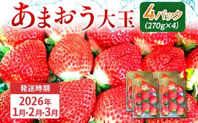 期間限定 いちご あまおう 苺 イチゴ 1kg あまおう（大玉）、4パック（270g/パック） 【2026年1月～3月順次発送】 フルーツ 果物 くだもの 大玉 ※北海道・沖縄・離島は配送不可 大木町産 おおきベリー CT004