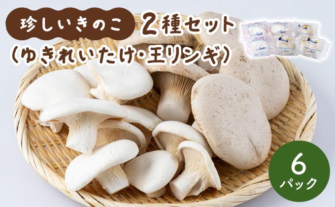 珍しいきのこ2種×3パックセット(ゆきれいたけ3パック・王リンギ3パック) 各3パック