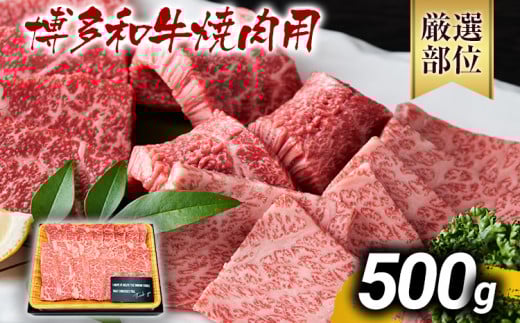 博多和牛焼肉用 500g 黒毛和牛 お取り寄せグルメ お取り寄せ お土産 九州 福岡土産 取り寄せ グルメ MEAT PLUS CP019 500g