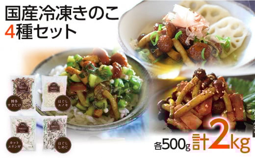 冷凍きのこセット500g×4（博多すぎたけ・しめじ・えのき・エリンギ）　AU03