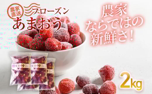 フローズンあまおう2kg(500g×4袋)　BD11 2kg(500g×4袋)