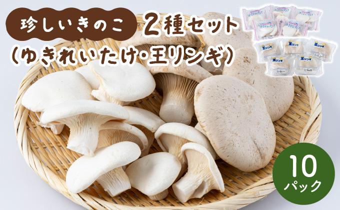 珍しいきのこ2種×5パックセット(ゆきれいたけ5パック・王リンギ5パック) 各5パック