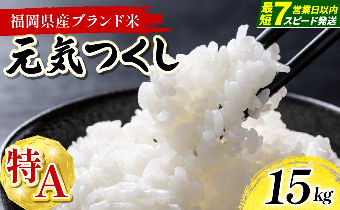 【最短7営業日以内発送】福岡県産米 元気つくし 15kg 令和7年産 ※北海道・沖縄・離島は配送不可【精米 7年産 国産 福岡県産 お米 ブランド米 15kg げんきつくし】 CY013 15kg（5kg×3袋）