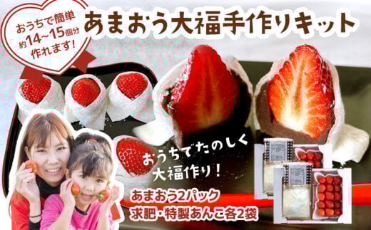 あまおう大福 手作りキット（2セット） 大福 和菓子 セット【2026年1月～4月にかけて順次出荷予定】餡子 あん お菓子 手作り 苺 いちご 大木町 池上農園 BD03 2パック