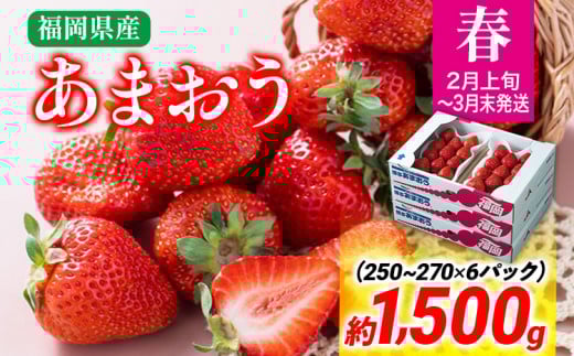 【春】あまおう 約1500g いちご 苺 果物 冷蔵 送料無料 イチゴ ※北海道・沖縄・離島は配送不可 大木町産 南国フルーツ CO004 6パック
