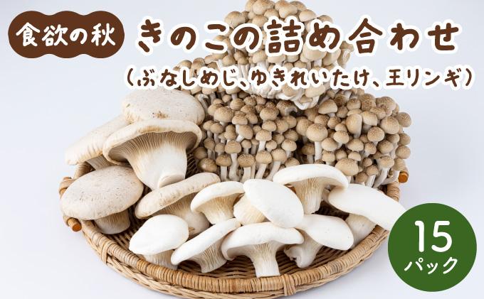 食欲の秋！きのこの詰め合わせ(ぶなしめじ・ゆきれいたけ・王リンギ各5パック)AT17 5パック
