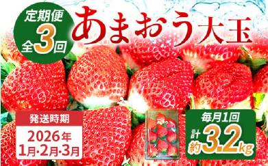 【3回定期便】 期間限定 いちご 苺 3.2kg あまおう（大玉）、4パック×3回（1月、2月、3月）定期便 【2026年1月～3月中に順次出荷予定】 ※北海道・沖縄・離島は配送不可 大木町産 おおきベリー CT002