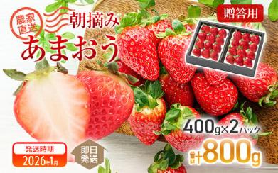 ※写真はイメージです