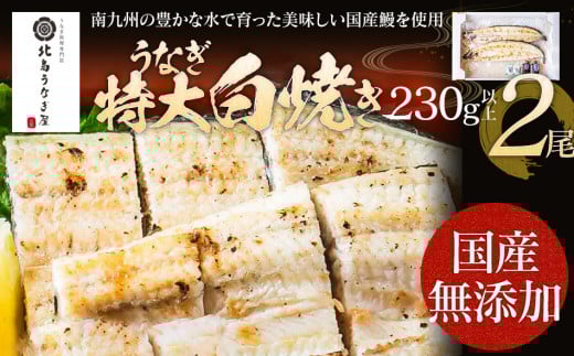 うなぎの特大白焼き（2尾）230g以上×2尾　AE05 通常受付