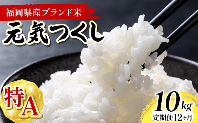 【12ヶ月定期便】福岡県産米 元気つくし 10kg 令和7年産 ※北海道・沖縄・離島は配送不可【精米 7年産 国産 福岡県産 お米 ブランド米 10kg げんきつくし】CY012sub12 【12ヶ月定期便】10kg（5kg×2袋）