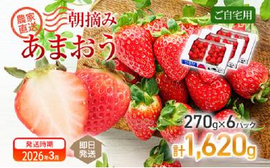 朝摘みあまおう約270g×6パック ※2026年3月中順次出荷予定 BD05