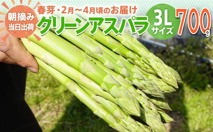 数量限定 先行予約 アスパラ 3Lサイズ 700g 春芽　朝採り 朝採れ 直送 グリーンアスパラガス アスパラ 【2月～4月お届け】 BT01 春芽【2月～4月お届け】
