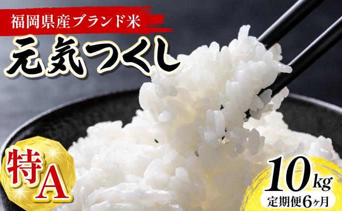 【6ヶ月定期便】福岡県産米 元気つくし 10kg 令和7年産 ※北海道・沖縄・離島は配送不可【精米 7年産 国産 福岡県産 お米 ブランド米 10kg げんきつくし】CY012sub6 【6ヶ月定期便】10kg（5kg×2袋）