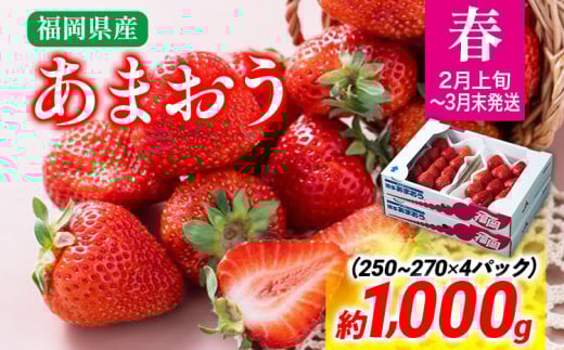 【春】あまおう 約1000g いちご 苺 果物 冷蔵 送料無料 イチゴ ※北海道・沖縄・離島は配送不可 大木町産 南国フルーツ CO003 4パック