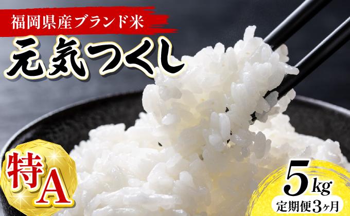 【3ヶ月定期便】福岡県産米 元気つくし 5kg 精米 令和7年産 ※北海道・沖縄・離島は配送不可【精米 7年産 国産 福岡県産 お米 ブランド米 5kg げんきつくし】CY011sub3 【3ヶ月定期便】5kg（5kg×1袋）