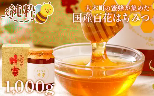 国産蜂蜜ギフト 1,000g　白ラベル　CD01