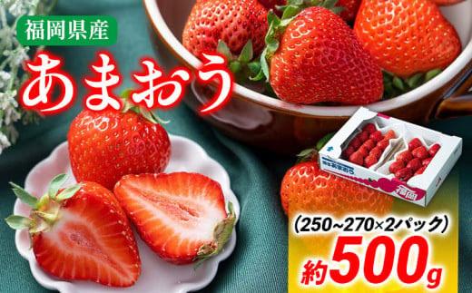 【冬】あまおう 約500g いちご 苺 果物 フルーツ 冷蔵 送料無料 ※北海道・沖縄・離島は配送不可 大木町産 南国フルーツ CO001 2パック