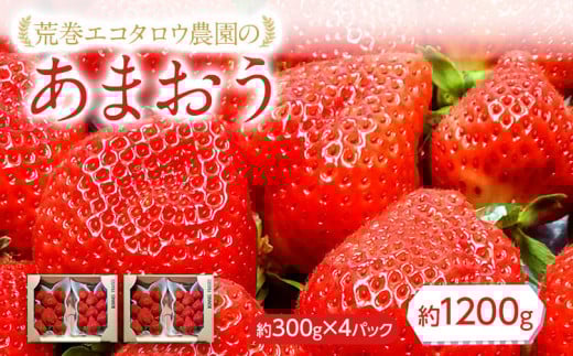 荒巻エコタロウ農園のあまおう約300g×4パック(約1200g)【2026年2月下旬以降順次出荷予定】BJ04