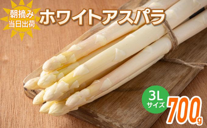 数量限定 ホワイトアスパラガス 3L 700g 朝採り 朝採れ 直送 ホワイトアスパラガス アスパラ【2月～4月お届け】 BT01w ホワイト【2月〜4月お届け】
