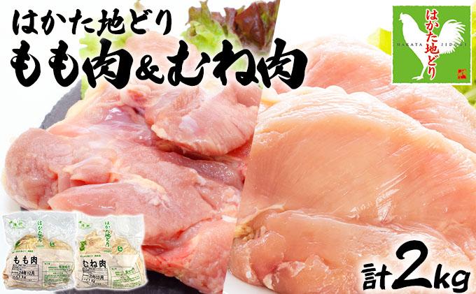 《順次発送》はかた地どりもも肉(1kg)・むね肉(1kg)セット 計2kg|博多 地鶏 鶏肉 ブランド鶏 冷凍 とり肉 鳥肉 もも肉 モモ ムネ 胸肉 むね肉 セット  1kg CV005