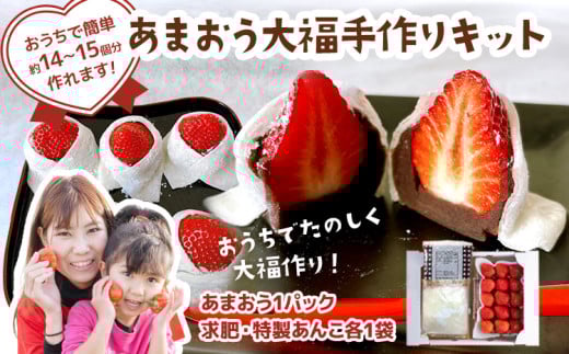 あまおう大福 手作りキット （1セット） 大福 和菓子 キット セット 【2026年1月～4月にかけて順次出荷予定】餡子 あん お菓子 手作り 苺 いちご 福岡県 大木町 池上農園 BD14 1パック