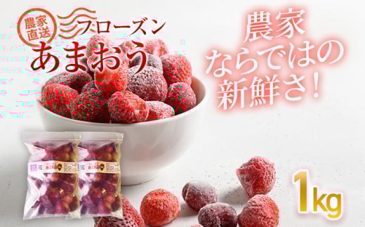 フローズンあまおう1kg(500g×2袋)　BD10 1kg(500g×2袋)