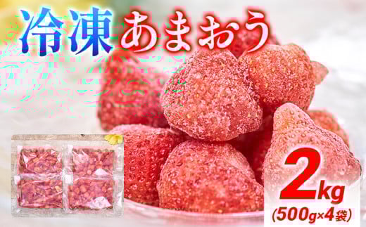 福岡産 冷凍あまおう 2kg(500g×4袋) あまおう イチゴ いちご スイーツ 果物 フルーツ 送料無料 冷凍フルーツ ジャム 苺 ケーキ スムージー いちご飴 かき氷 フルーツ大福 クリスマス 大木町産 南国フルーツ CO027 2kg(500g×4袋)